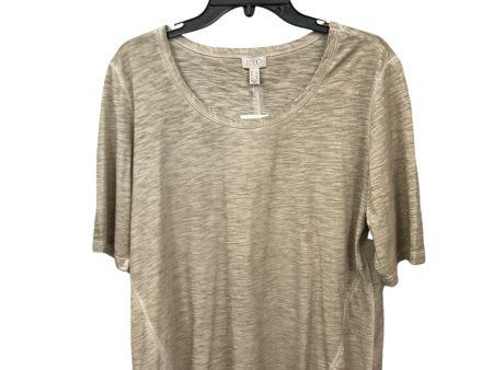 Top Short Sleeve Basic By Logo In Tan, Size: L Cheap